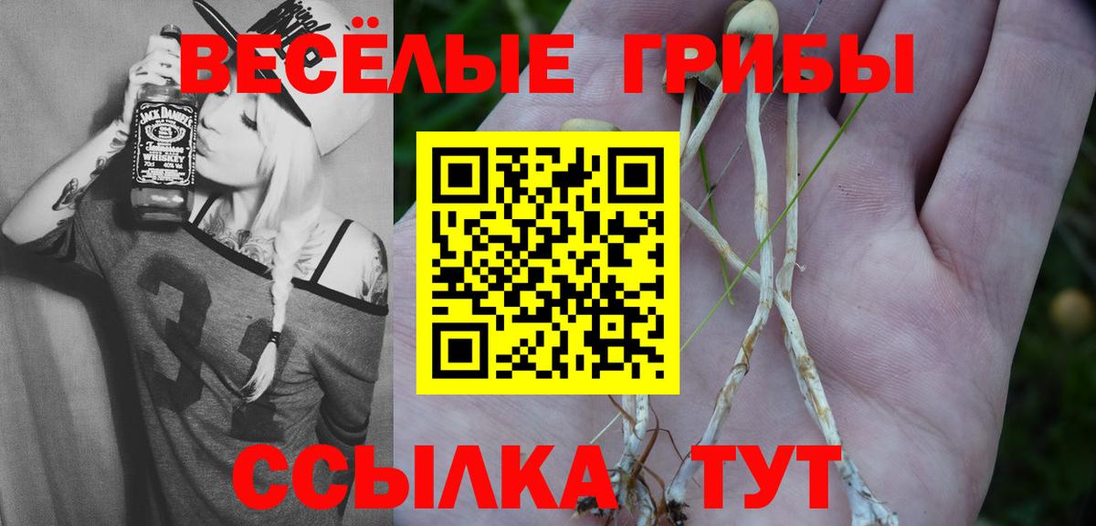 Псилоцибиновые грибы Psilocybe Кубинка